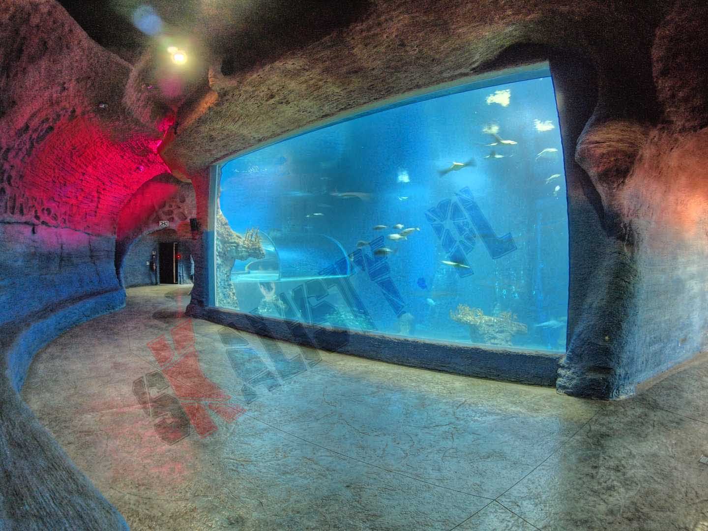 oceanarium wrocaw zoo