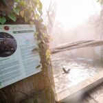 wybieg ze sztucznymi skałami dla zoo w tallinnie